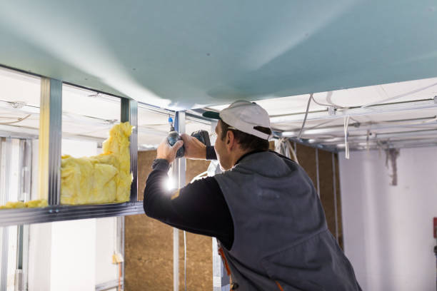 Types of Insulation We Offer in Bel Air, MD